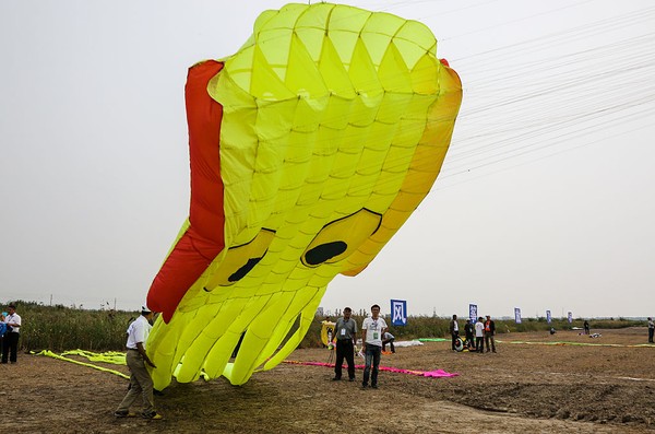 Pada tahun 2015 lalu, festival ini diikuti oleh 265 peserta dari luar negeri dan domestik. VCG/VCG via Getty Images  Pada tahun 2015 lalu, festival ini diikuti oleh 265 peserta dari luar negeri dan domestik. VCG/VCG via Getty Images Â