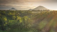 Cahaya pagi yang menyiram sawah di Indonesia dengan 2 gunung berapi di latar belakang membuat foto ini menjadi sangat indah. Istimewa/dok. Bored Panda/@carlesalonsophotography  