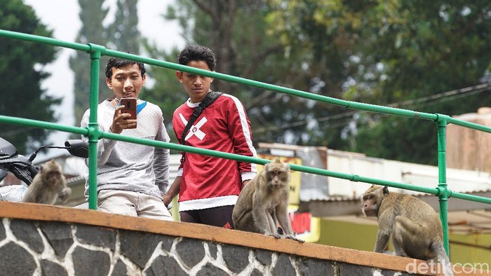 Grojogan Sewu Air Terjun Grojogan Sewu berbenah menyambut new normal pariwisata, Selasa (16/6/2020).