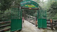 Kuota pengunjung di Air Terjun grojogan Sewu dibatasi 30 persen dan dievaluasi setelah operasional berjalan 14 hari sejak dibuka. Andai tidak ada masalah maka kuota ditambah menjadi 50 persen dan hingga jumlah normal. (kartika bagus/detikFOTO)