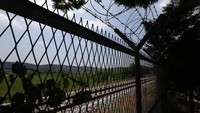 Sejak Korut mengutuk peluncuran selebaran, kementerian unifikasi Seoul telah mengajukan laporan ke polisi terhadap dua kelompok pembelot dan memperingatkan akan tindakan keras menyeluruh terhadap para aktivis. Kedua Korea secara teknis tetap berperang setelah permusuhan Perang Korea berakhir dengan gencatan senjata pada tahun 1953. Gencatan senjata itu tidak pernah digantikan dengan perjanjian damai.