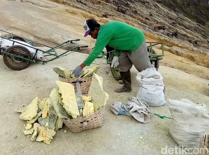 Balai Konservasi Sumber Daya Alam (BKSDA) Banyuwangi belum bisa membuka kembali penambangan belerang di Taman Wisata Alam (TWA) Kawah Ijen.