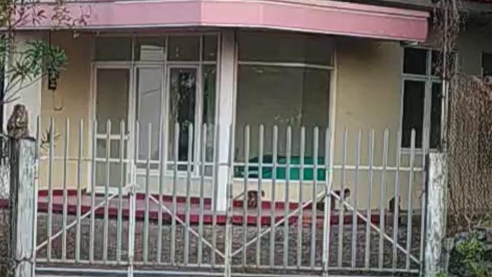 Kawanan monyet serbu permukiman di Kudus.