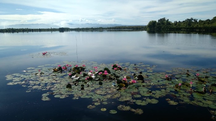 Muara Desa Teramang Jaya (Hery-detik)