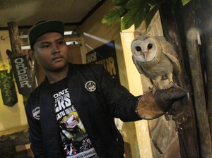 Sensasi Asyik Ngopi di Dalam Kandang Burung Hantu