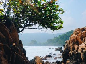 Rinduku untuk Pantai Gigi Hiu Kelumbayan Lampung