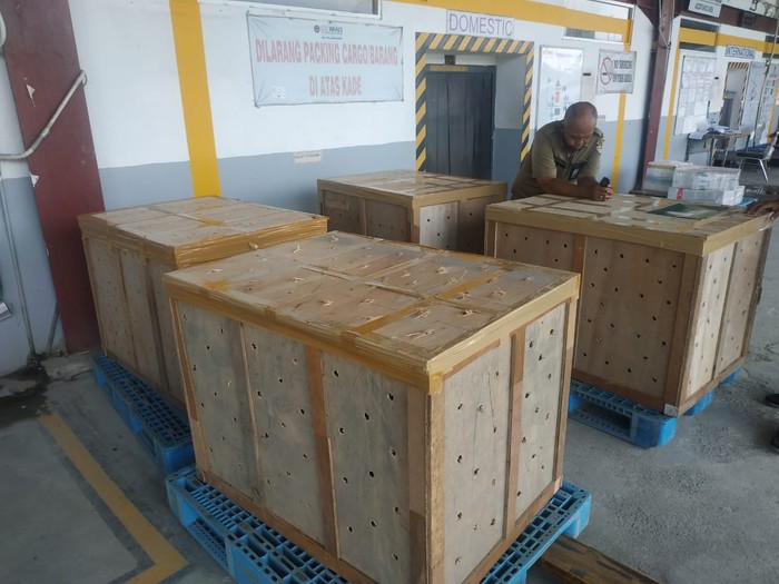 Ribuan burung hendak dikirim tanpa izin diamankan di Kualanamu (dok. Istimewa)