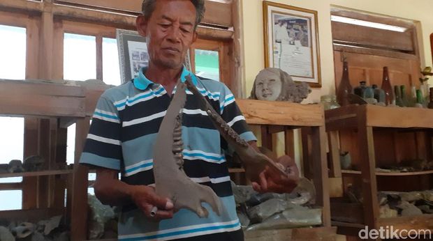 Sudarsono mengoleksi ribuan fosil di rumahnya di Sragen, Selasa (16/6/2020).