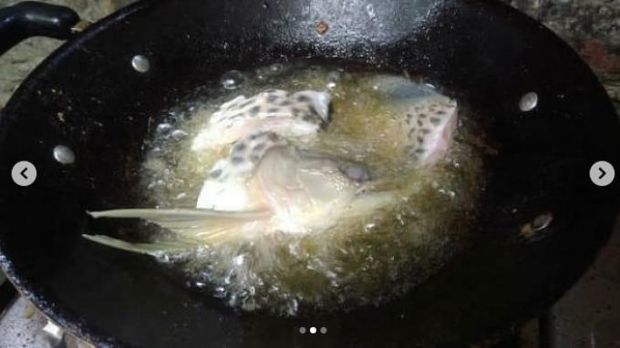 Viral ikan arwana peliharaan digoreng ayah