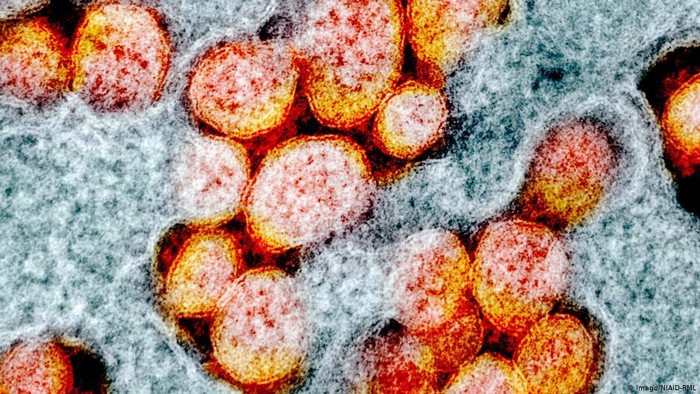 Apakah Mutasi Virus Corona Akan Mengubahnya Jadi Jinak? Apakah Mutasi Virus Corona Akan Mengubahnya Jadi Jinak?