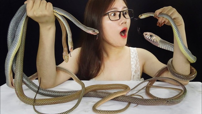 ASMR Video Pakai Makanan Eksotik