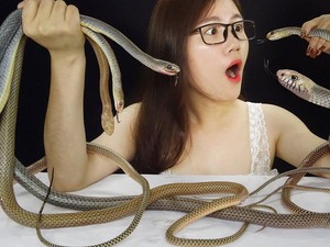 Ikan Penis Sampai Ular, 5 Video ASMR Ini Pakai Makanan Eksotik
