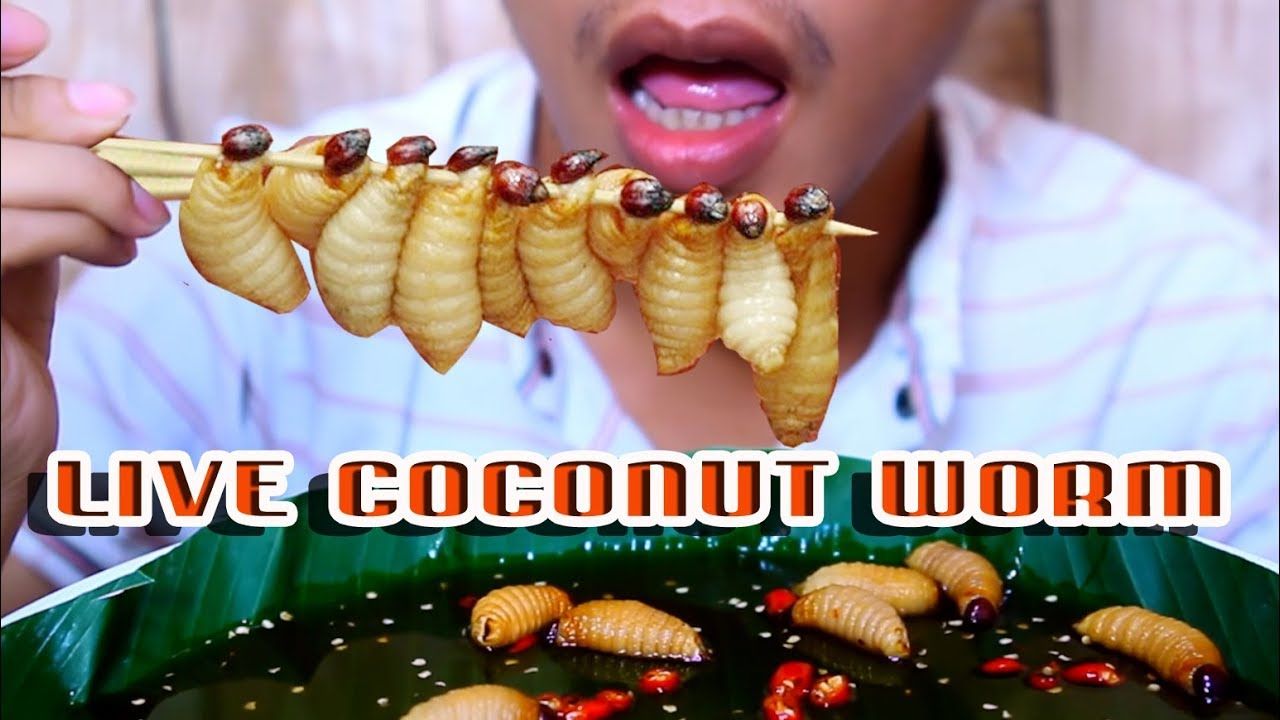 ASMR Video Pakai Makanan Eksotik