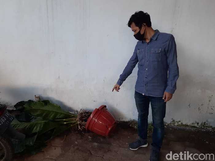 asn banyuwangi ngamuk