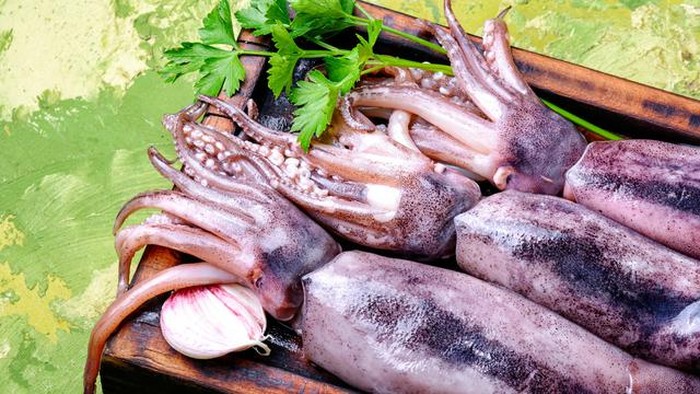 Fakta menarik tinta cumi Fakta menarik tinta cumi