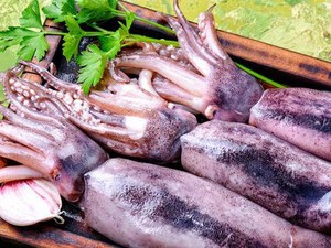 5 Fakta Menarik si Hitam Pekat Tinta Cumi yang Gurih