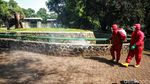 Jelang Sambut Pengunjung, Ragunan Disemprot Disinfektan