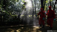 Taman di area Ragunan juga tak luput dari penyemprotan disinfektan.