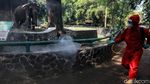 Jelang Sambut Pengunjung, Ragunan Disemprot Disinfektan