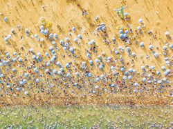 Karya Jawara Kontes #Areal2020 Bikin Mata Terkesima