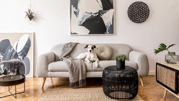 Posters on grey wall above white cupboard in bright living room interior with sofa and carpet. Real photo