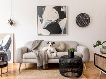 Mau Membeli Sofa? Hati-hati dengan 5 Warna Ini