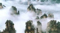 Bukit-bukit batu lancip yang dihias pepohonan hijau jadi sajian utama yang paling dicari para wisatawan. Terlebih saat kabut turun dan menyelimuti area hutan sehingga membuat beberapa bukit yang sangat menjulang berada di atas kabut. Istimewa/iStock  