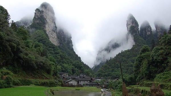 TN Zhangjiajie yang seluas 4.810 hektar ini masih masuk ke dalam kawasan Wulingyuan. Tahun 1992, kawasan Wulingyuan masuk dalam daftar Situs Peninggalan Sejarah UNESCO. Karena dianggap sebagai geopark, tahun 2004 TN Zhangjiajie masuk dalam daftar global geopark di UNESCO. Istimewa/dok. wallpaperbetter.com  TN Zhangjiajie yang seluas 4.810 hektar ini masih masuk ke dalam kawasan Wulingyuan. Tahun 1992, kawasan Wulingyuan masuk dalam daftar Situs Peninggalan Sejarah UNESCO. Karena dianggap sebagai geopark, tahun 2004 TN Zhangjiajie masuk dalam daftar global geopark di UNESCO. Istimewa/dok. wallpaperbetter.com Â