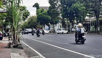 Seorang pegawai hotel yang ada di dekat lokasi pohon itu berada, Srimanganti Prapto (70), mengungkapkan pohon tersebut sudah ada sejak hotel dibangun.