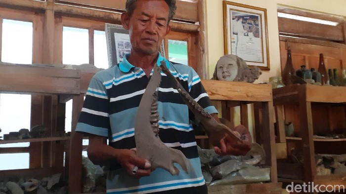 Warga Sragen Koleksi Ribuan Fosil di Rumahnya Seorang warga Dukuh Ngadirojo, Desa Sambungmacan, Sragen, Sudarsono (62) mengoleksi ribuan fosil di rumahnya. Di antara koleksi fosil tersebut ada yang ditawar kolektor hingga puluhan juta rupiah. Namun Sudarsono bergeming dan memilih menyimpannya sendiri dengan alasan menjaga kelestarian.