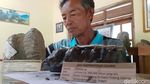 Penampakan Fosil Koleksi Warga Sragen
