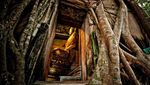 Seru Belanja di Amphawa, Pasar Apung Paling Hits di Thailand
