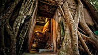 Pasar ini cukup istimewa, karena di kawasan Amphawa ini adalah tempat kelahiran Raja Rama II. Pasar yang sudah ada sejak 50 tahun yang lalu ini pernah menjadi salah satu pasar komersial utama di sepanjang Sungai Mae Klong. Istimewa/dok.korinatour.co.id  