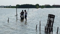 Jalan warga Dukuh Mondoliko yang terendam rob itu berukuran lebar 1,5 meter dan panjang 3,5 km. Jalan itu menghubungkan permukiman dengan pasar, sekolah, dan tempat kerja. Jalan terendam rob setiap harinya dengan ketinggian air 30 hingga 60 sentimeter.