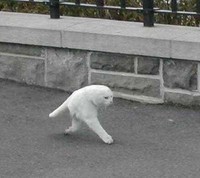 Glitch yang ada pada Google Maps biasa terjadi. Tapi terkadang hasilnya bisa mengocok perut karena menampilkan gambar yang aneh.