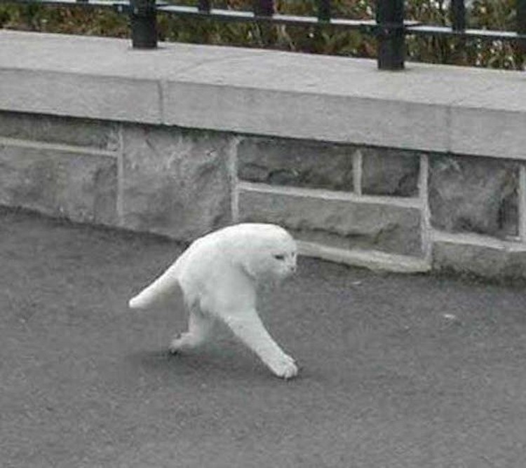 Glitch di Google Maps yang Bikin Hasilnya Kocak! Glitch yang ada pada Google Maps biasa terjadi. Tapi terkadang hasilnya bisa mengocok perut karena menampilkan gambar yang aneh.