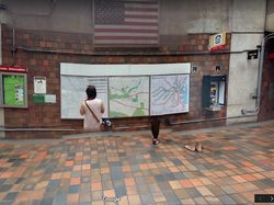 Glitch di Google Maps yang Bikin Hasilnya Kocak!