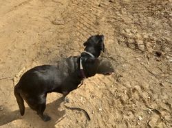 Glitch di Google Maps yang Bikin Hasilnya Kocak!