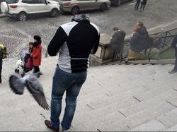 Glitch di Google Maps yang Bikin Hasilnya Kocak!