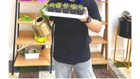 Benih caisim pertama yg di semai sendiri tumbuh. Semoga 2021 punya lahan yg luas mau dijadiin hutan dan kebun sayur untuk ketahanan pangan indonesia. Tulis Jordi di keterangan Instagramnya. Foto: Intsgaram @jordionsu
