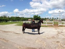 Deretan Foto Kocak Panorama Hewan yang Gagal