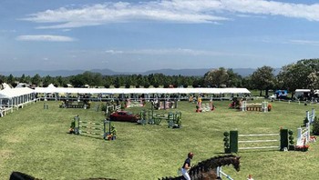 Panjang sekali badan kuda ini. (Foto: Boredpanda)