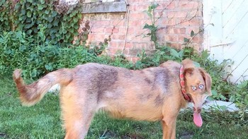 Wajahnya terlihat jadi ramping. (Foto: Boredpanda)