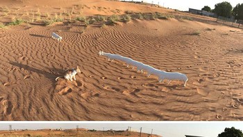 Wah jadi panjang sekali badan kucing ini. (Foto: Boredpanda)