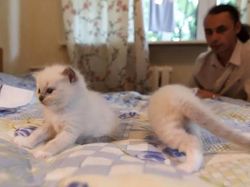 Deretan Foto Kocak Panorama Hewan yang Gagal