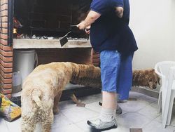 Deretan Foto Kocak Panorama Hewan yang Gagal