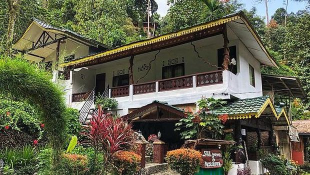 Pasangan Turis dari Inggris Terjebak di Bukit Lawang