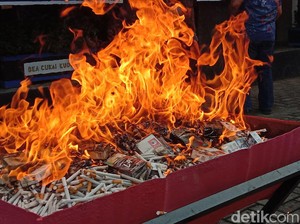 Tarif Cukai Tembakau Tinggi, Peredaran Rokok Ilegal Ikut Naik