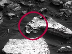 Tak Cuma Benda Mirip Tulang Kaki, Ini Objek Aneh Ditemukan di Mars