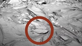 Foto yang memperlihatkan objek mirip ikan ini sempat menghebohkan penggemar alien dan UFO. Tapi ini hanya batu yang bentuk dan dengan bantuan cahaya membuatnya terlihat seperti ikan. Foto: NASA
